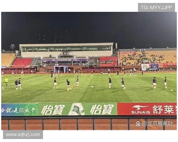 从赛场表现到数据解析全面解读体育比赛真实实力与战术执行和心理状态