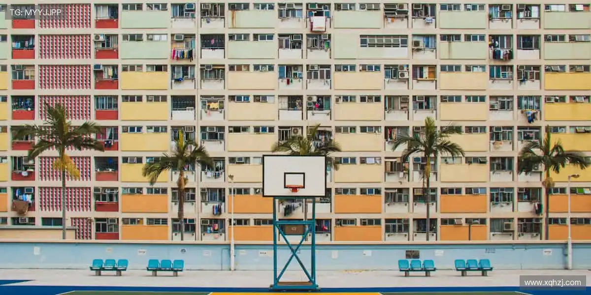 正品周边，球迷专属荣耀！🎁🏆